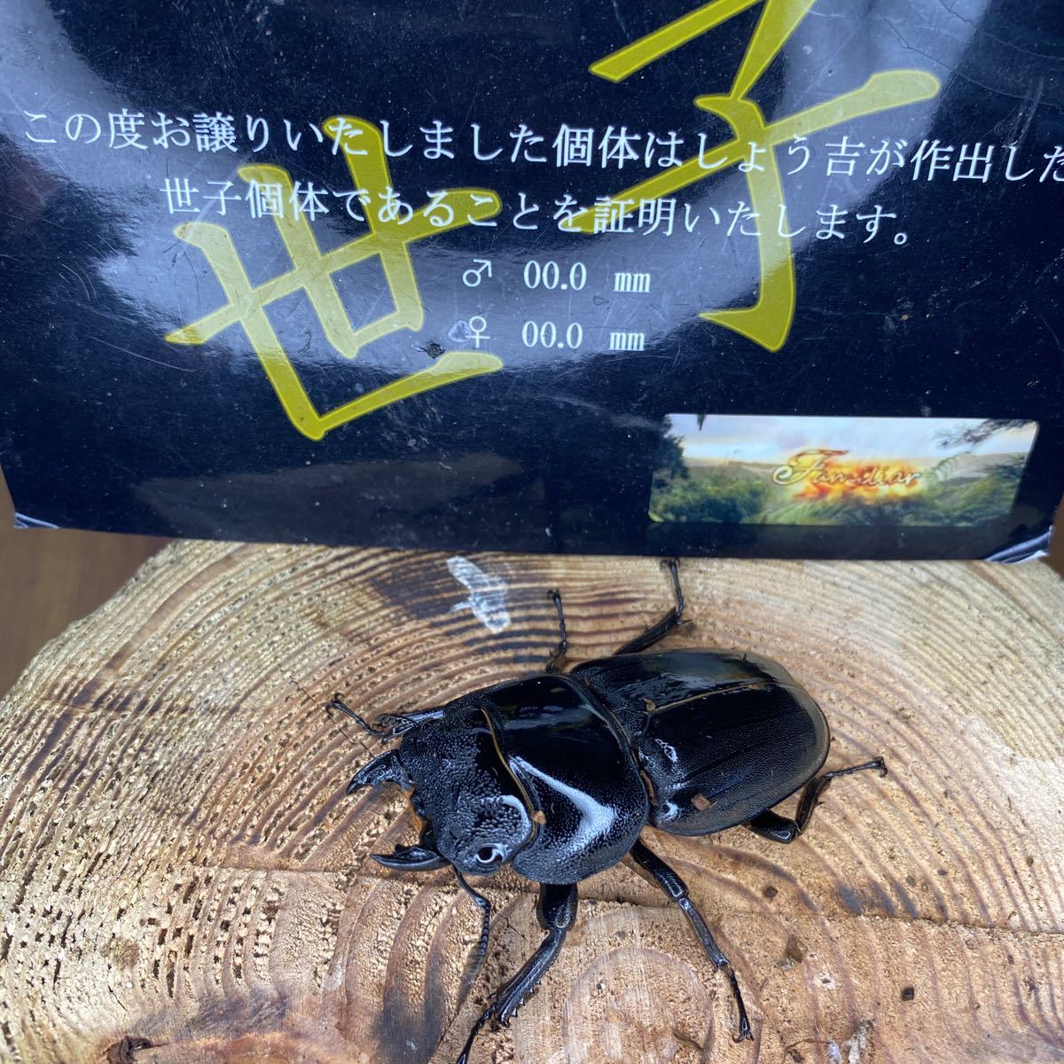 ノマドクロージングエコパーク