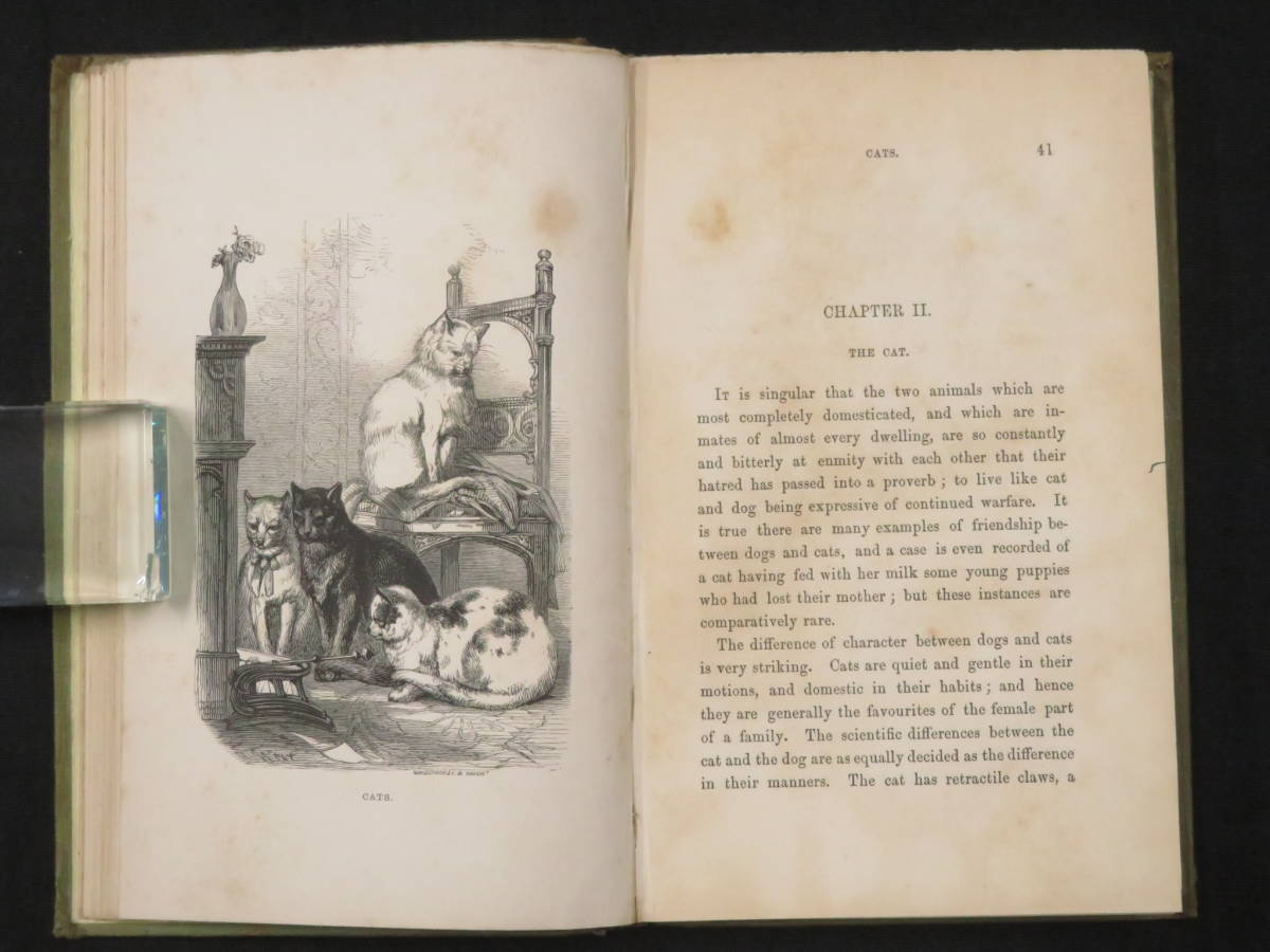 希少】1869年ラモードイリュストレ モード紙 大型古書 フランス