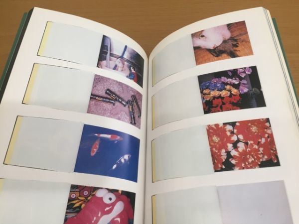 送料160円】荒木経惟写真全集 第13巻 ゼロックス写真帖 平凡社 1996年 