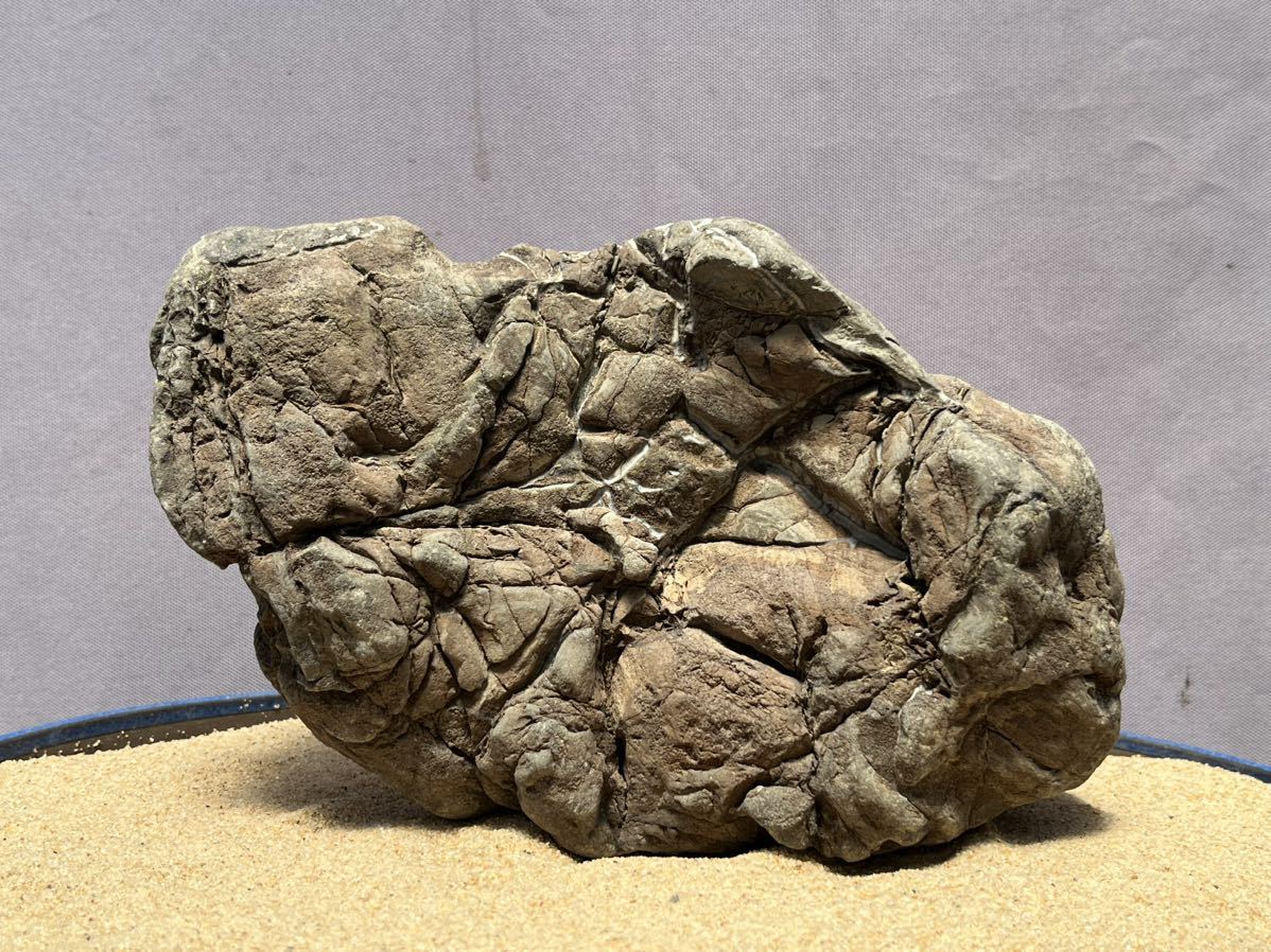 庭石 自然石 天然石 盆石 鑑賞石 盆栽 アクアリウム