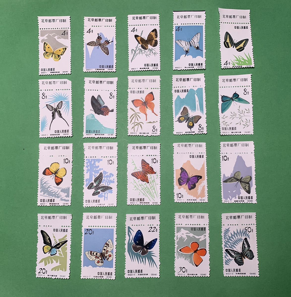 希少】 中国切手 1963年 特56 蝶シリーズ 20種完 銘版付き 20