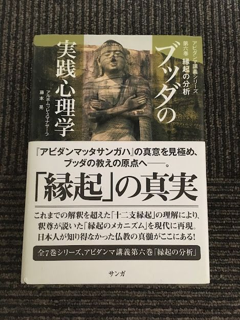 ブッダの実践心理学 第6巻 縁起の分析 (アビダンマ講義シリーズ