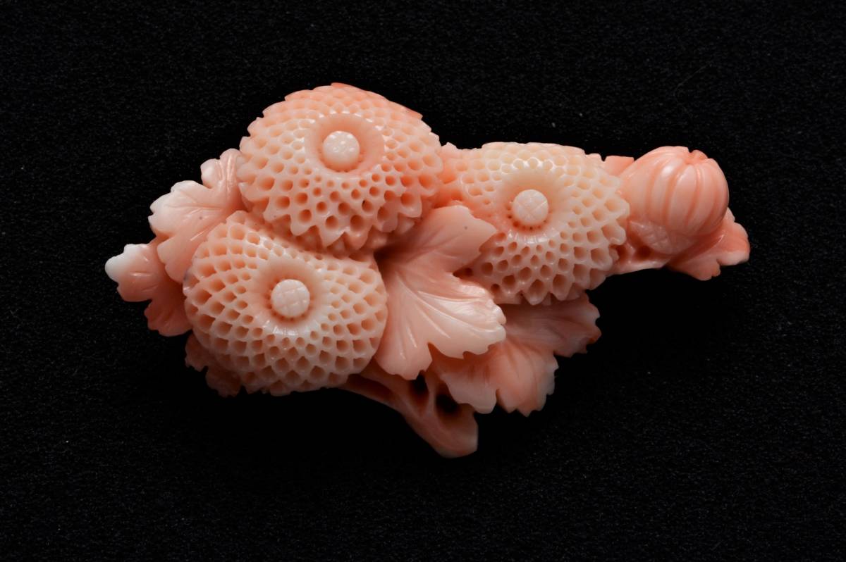 至高の逸品☆アンティーク 特大・珊瑚 彫刻 「菊花」帯留め ☆072709