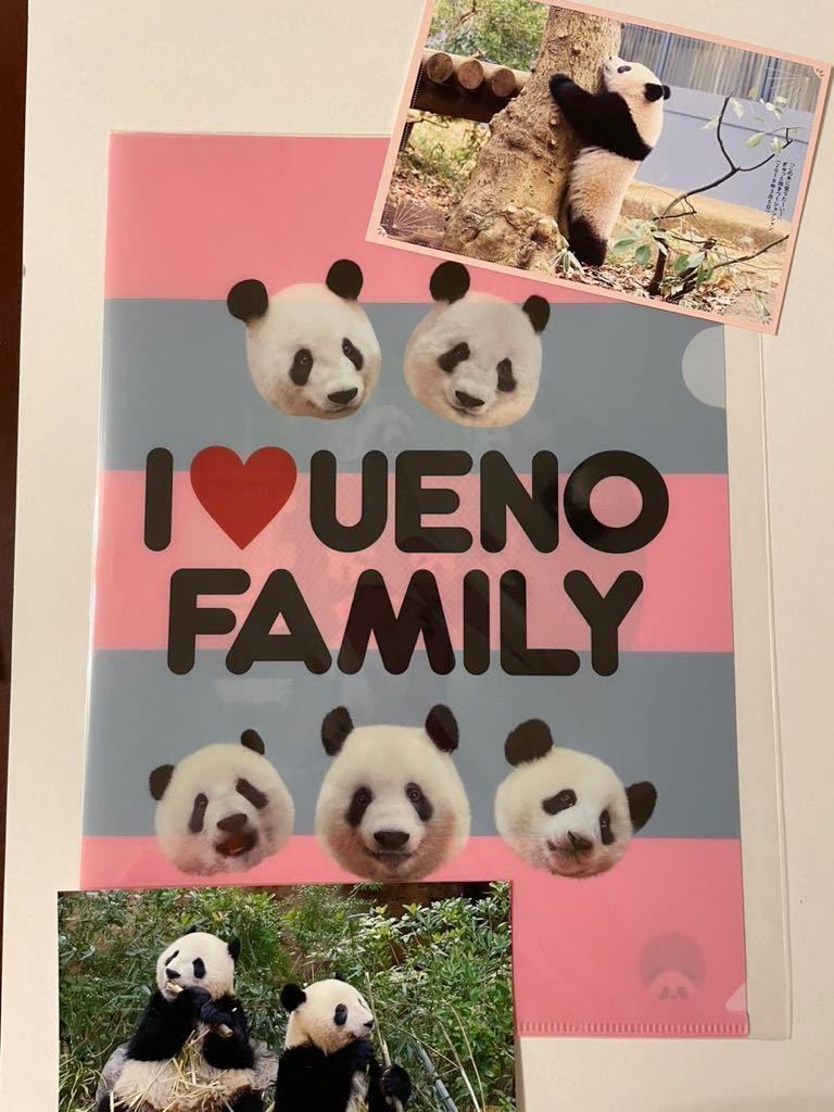 パンダ自身×三省堂限定　シャンシャン　クリアファイル　＆　ポストカード② 　シャオシャオ＆レイレイ　生写真ポストカード付き　