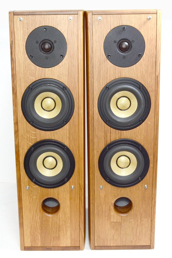 ☆Pioneer パイオニア S-PM300 スピーカー ペア セット☆ パイオニア