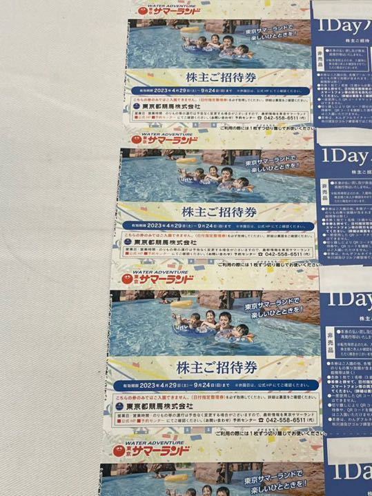 東京サマーランド 株主ご招待券 1DAY PASS 4枚セット 株主優待 8