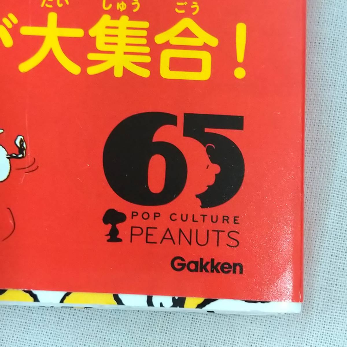 【希少】PEANUTS キャラクター大図鑑 スヌーピーとゆかいな仲間たち 翻訳：谷川俊太郎 初版【書籍 貴重 レア SNOOPY ピーナッツ 資料集】_2