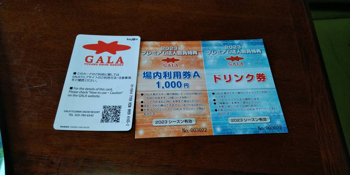 ガーラ湯沢 リフト券 場内利用券1000円分 ガーラ 場内利用券 ガーラ湯沢 リフト券 場内利用券1000円分 ガーラ 場内利用券