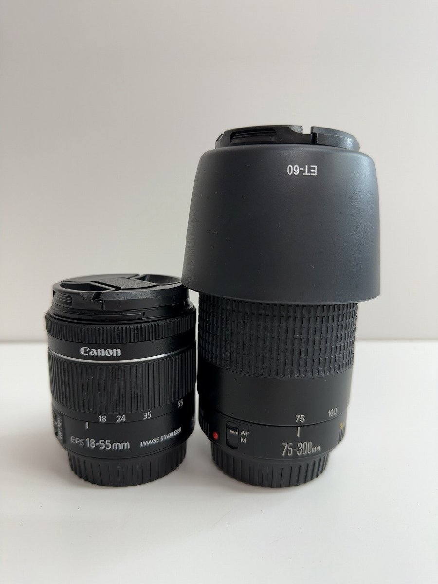 防湿庫保管美品プロテクトEF100mm F2.8Lマクロ IS USM
