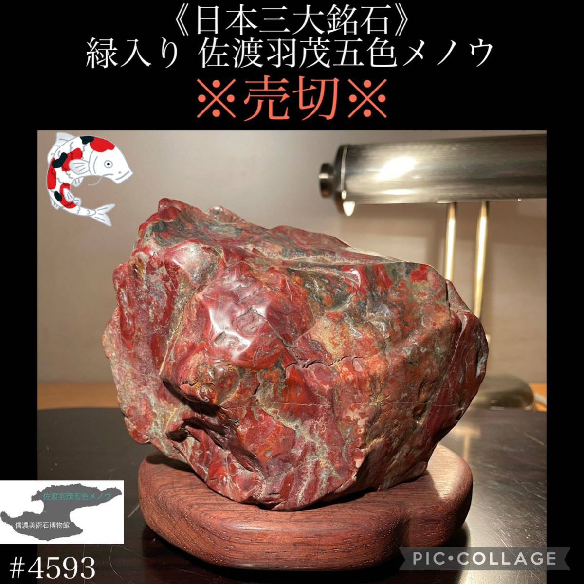 ※売切※【信濃美術石博物館】水石 盆栽 緑入り 佐渡羽茂五色メノウ 横16×高12(cm)1.98kg 佐渡赤玉石 赤石 佐渡錦紅石 骨董盆石鑑賞石4593