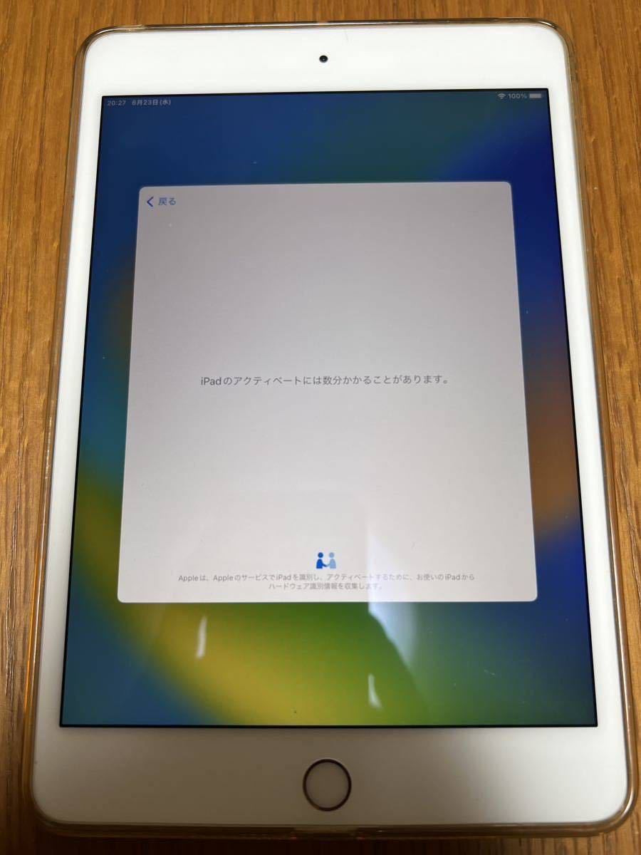 SIMフリー Apple iPad mini 第5世代 wifi 希少なセルラーモデル