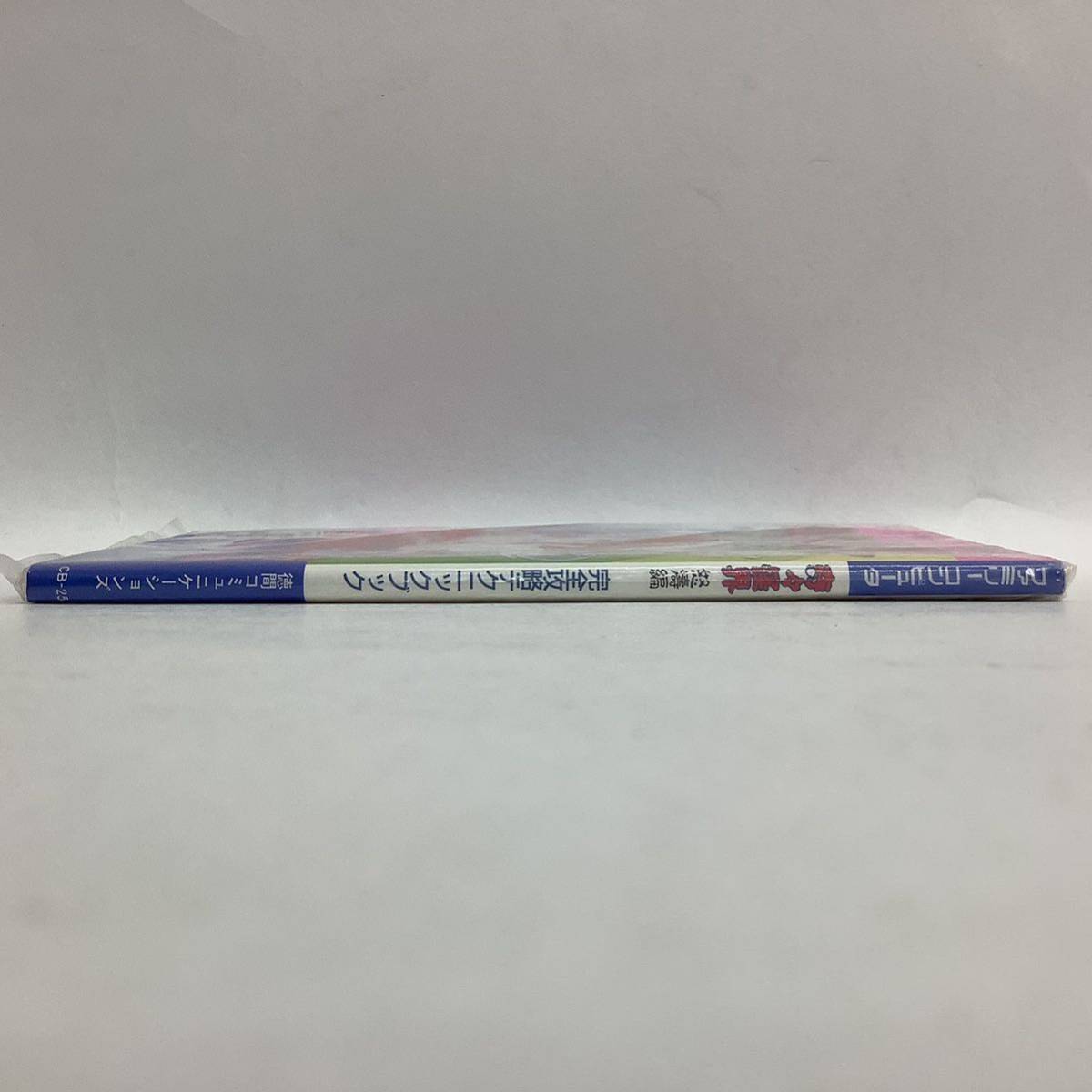 レア 美品！！ 奇々怪界 怒涛編 ファミコン ディスクシステム 完全攻略 