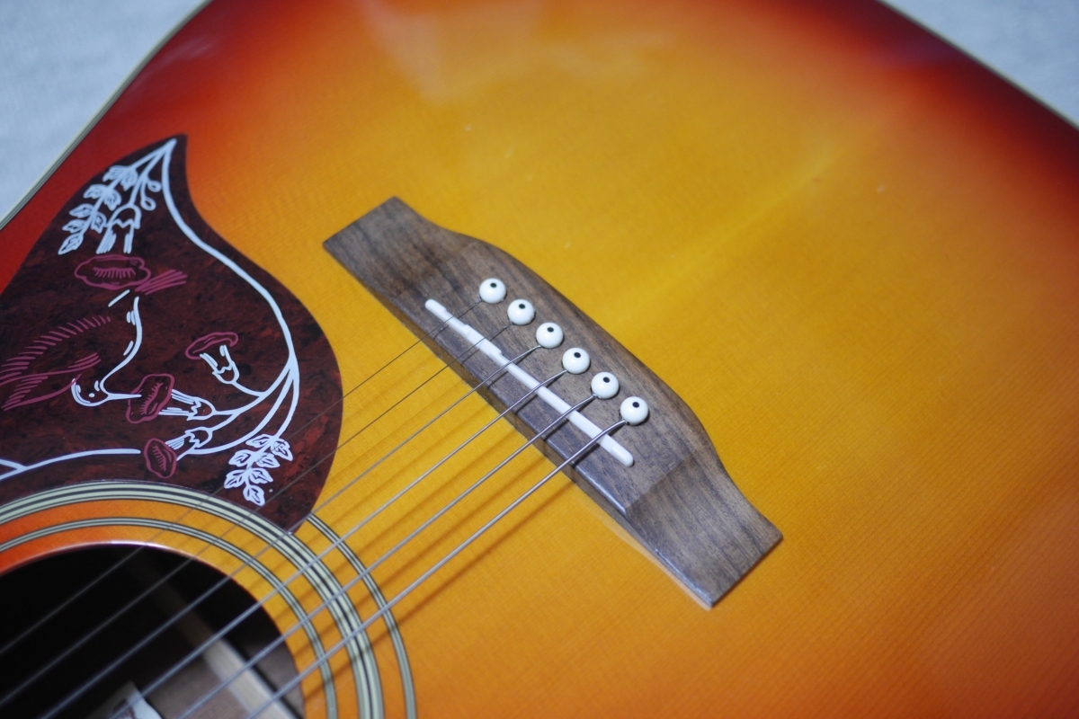 maison H-22/CS 弦新品 ソフトケース 付属 検) gibson ハミングバード