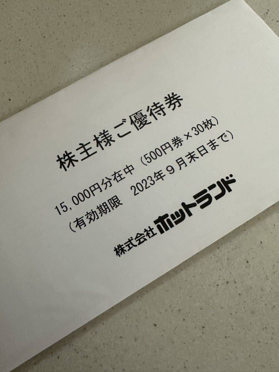 ホットランド 株主優待 15000円分☆ ホットランド 15000円分
