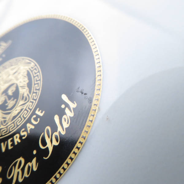 Roi Soleil Rosenthal Le by VERSACE Porcelain ヴェルサーチ ローゼン