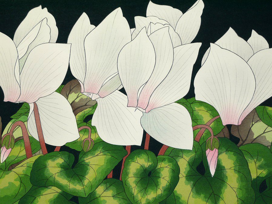 版画シクラメン