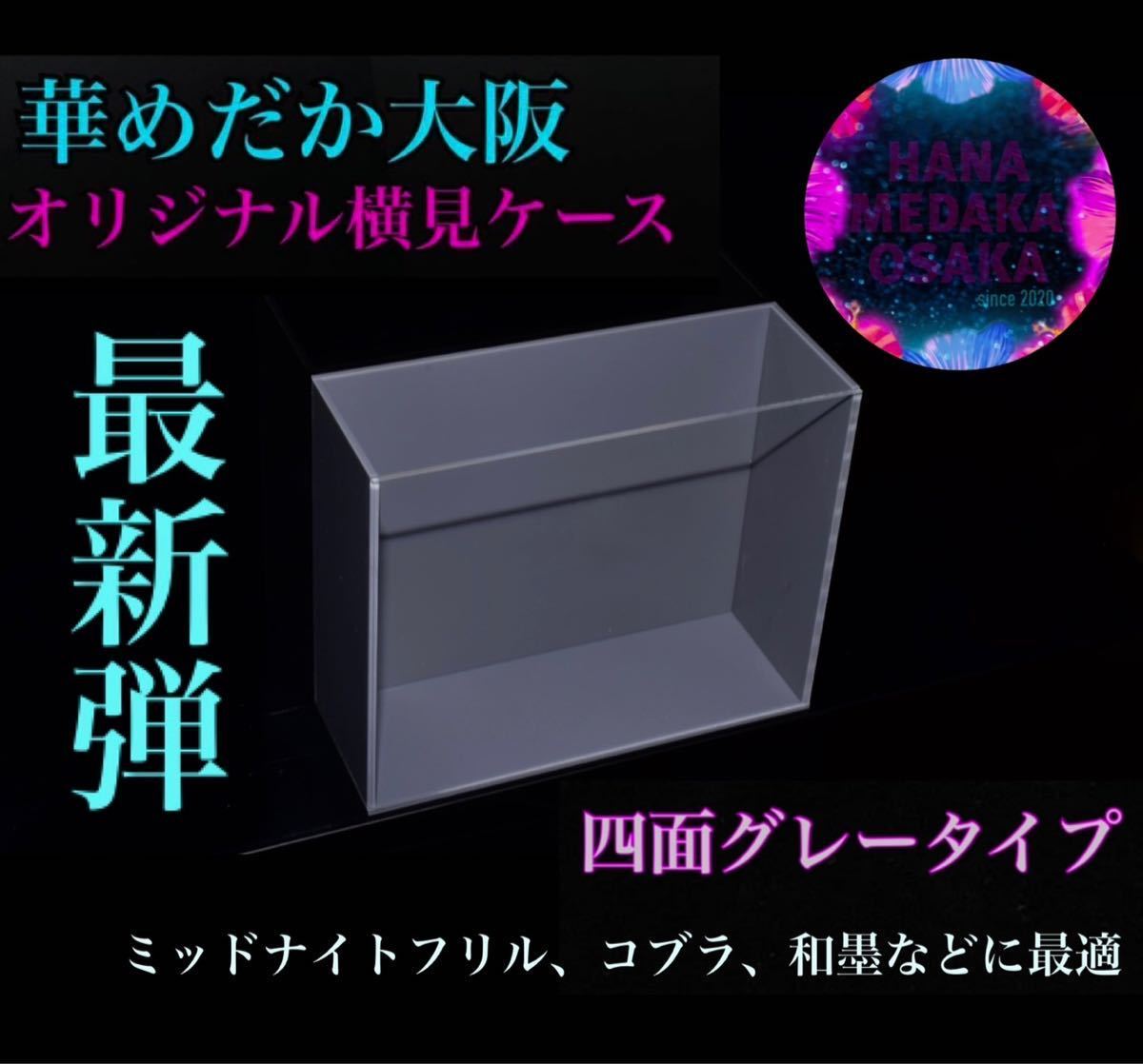 安心のMADEIN東大阪【華めだか大阪】オリジナル横見ケース『ヤバいケース』最新弾 四面グレータイプ 品番 GG4