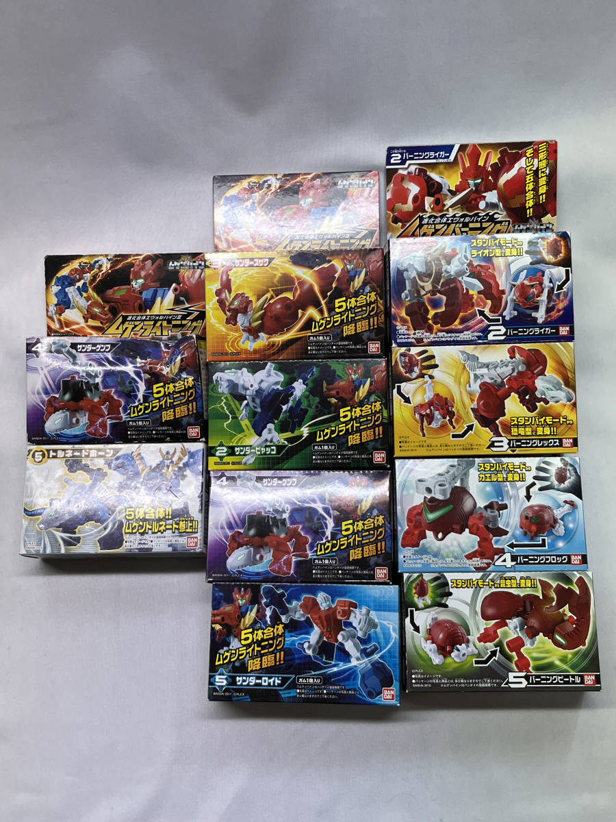 ムゲンバイン 進化合体 エヴォルバインⅡ 10種 セット ムゲンバイン 進化合体 エヴォルバインⅡ 10種 セット