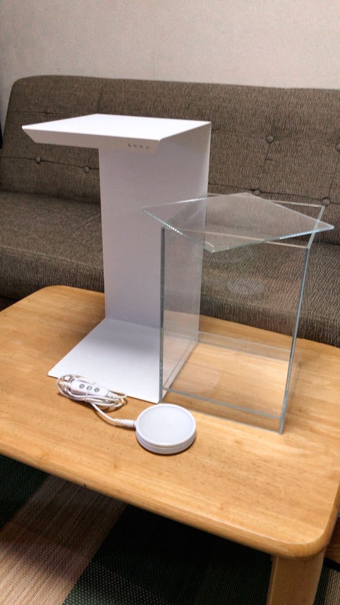 MAGNET LIGHT STAND | ADA DOOA マグネットライトスタンド、 ネオ