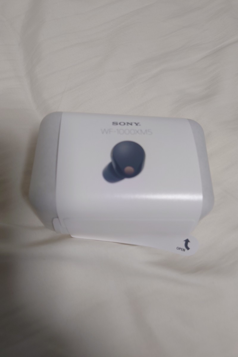 SONY　WF-1000xm5 Black