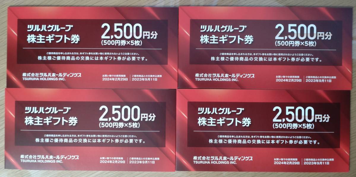 株主優待券・割引券 【匿名配送】ツルハホールディングス 株主優待券 1