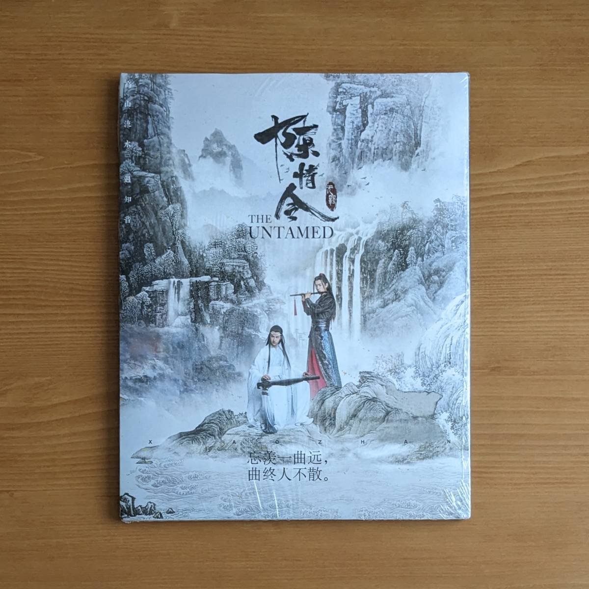 訳有 TIMES時代影視 限定版 陳情令 肖戦 王一博 中国ドラマ 魔道祖師