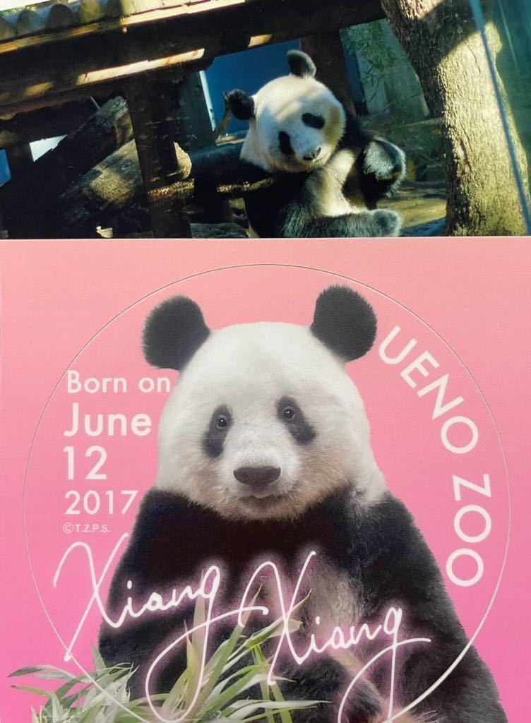 正規品，本物保証 シャンシャン ノベルティ ステッカー 非売品 ありがとう シャンシャン 上野ZOO シャンシャン生写真ポストカード付き パンダ(広告、ノベルティグッズ)｜売買されたオークション情報、yahooの その他