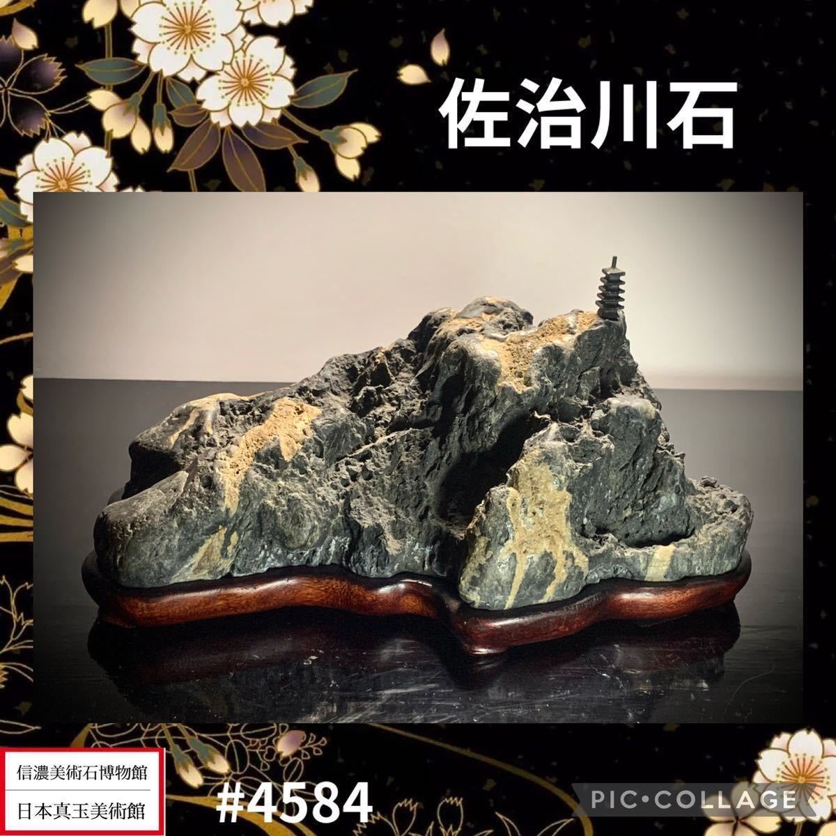 雨竹亭] 【揖斐川石(台座付)】添景 添配 水石 盆栽 盆景 盆石 鑑賞石