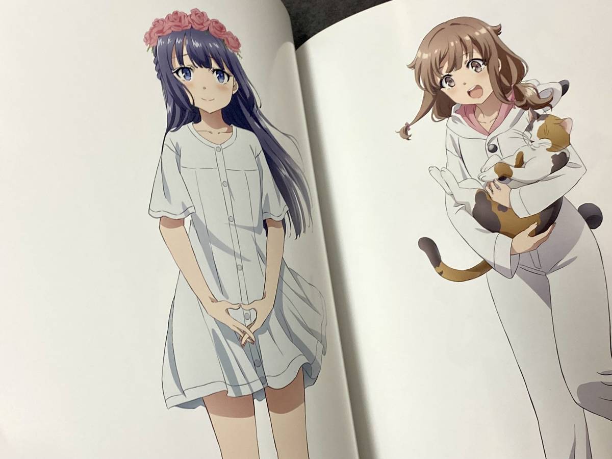 青ブタFes - 青春ブタ野郎はカラフルアルバムの夢を見ない -｜2024 青ブタ公式イラストブック