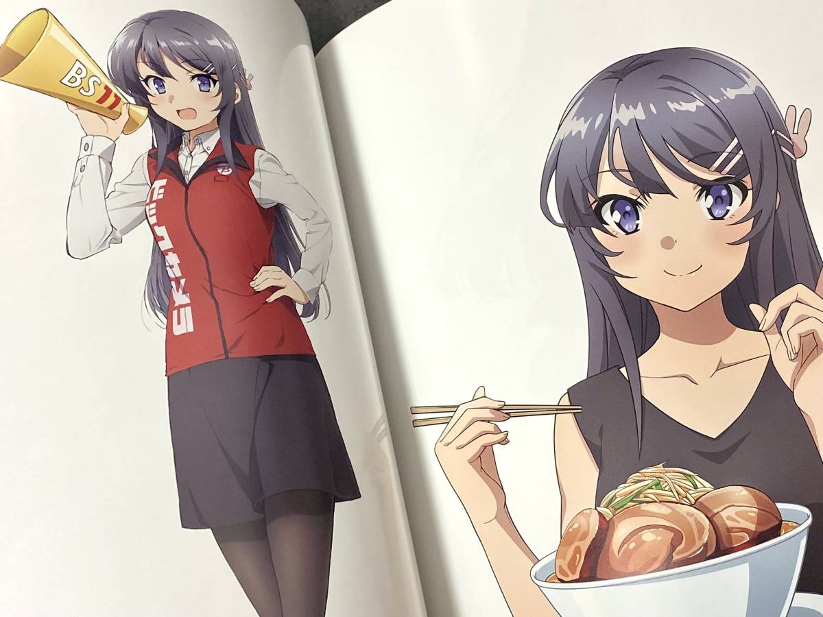 青春ブタ野郎シリーズ PAINTING 公式イラストブック 青ブタ 青春ブタ