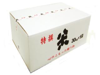 C03【¥1スタート】＜すぐに使える土埋めレイシ材＞在庫整理のため