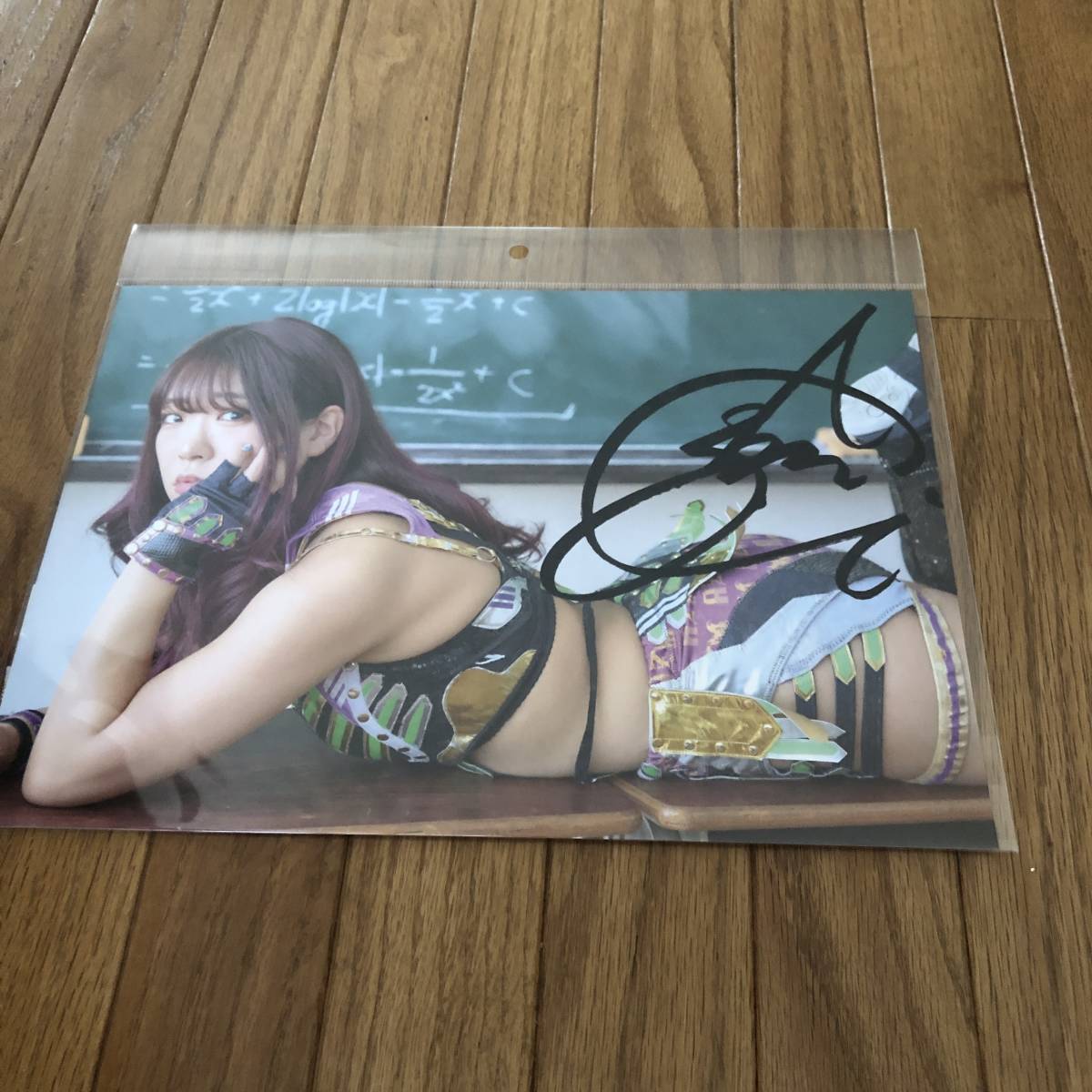 女子プロレス スターダム 紫雷イオ イヨ・スカイ 直筆サイン入りポート