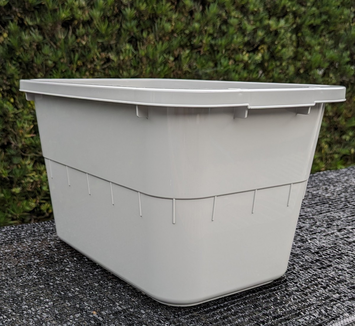 天羽】 【送料無料】 特注カラー 24L角タライグレー 10個セット メダカ 