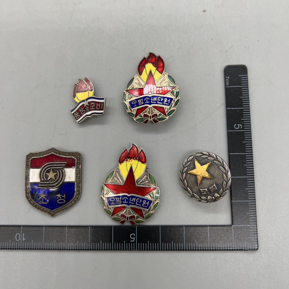 ピンバッジ 北朝鮮国旗デラックス薄型キャッチ付き朝鮮 【コレクション