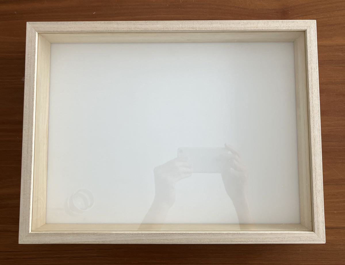 昆虫用品 中型標本箱 1箱 展翅板 6本