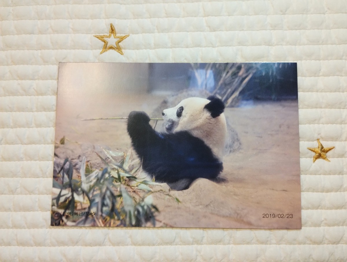 シャンシャン 920日ポストカード 松坂屋上野非売品 上野動物園