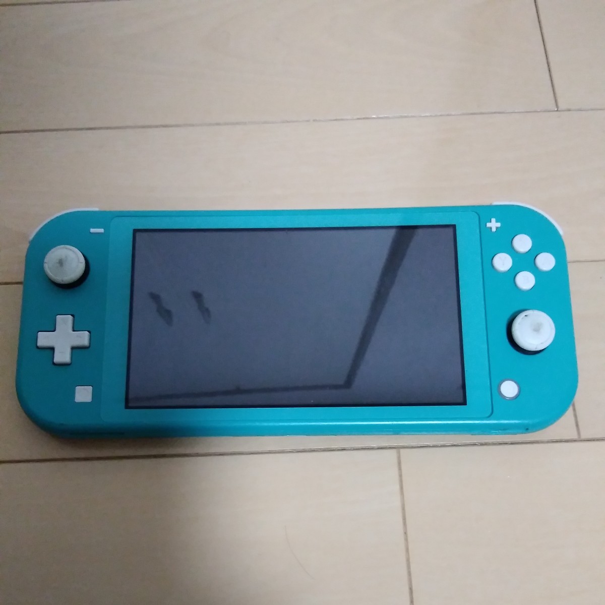 任天堂 ニンテンドー Nintendo Switch Lite 未確認 ジャンク スイッチ