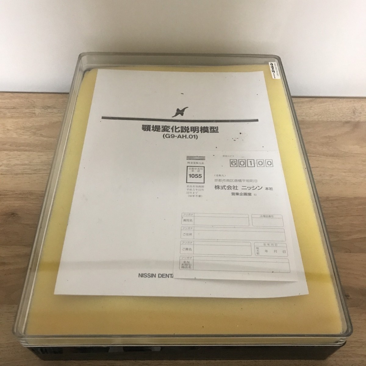 高品質，爆買い ニッシン 顎堤変化説明模型 G9-AH.01 歯科 歯医者 歯科技工士 模型(その他)｜売買されたオークション情報、yahooの商品情報をアーカイブ公開 - オークファン その他