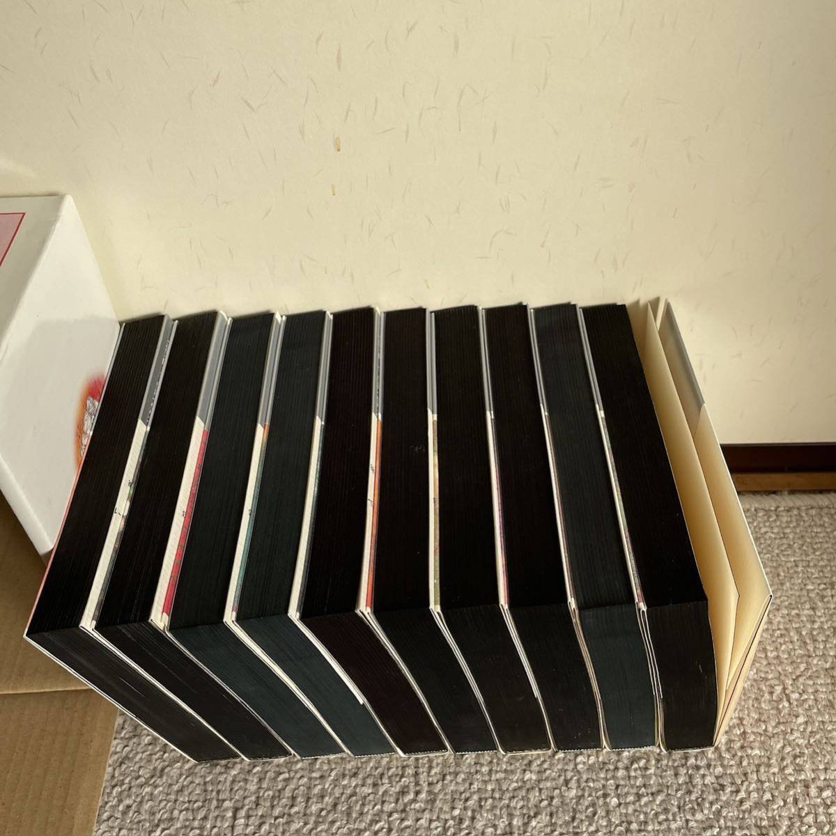 大島弓子選集 第1期 全10巻 輸送用ケース入り 新品同様 L76