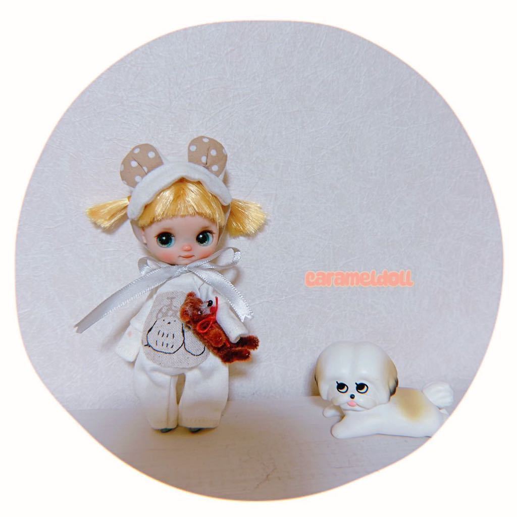 カスタムプチブライス