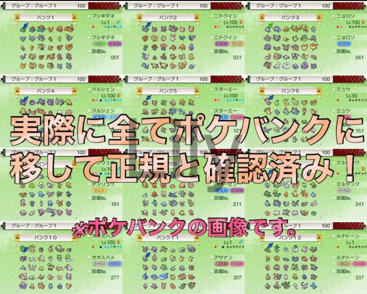 ポケモンブラック2 配信 6vメタモン付き 道具完備