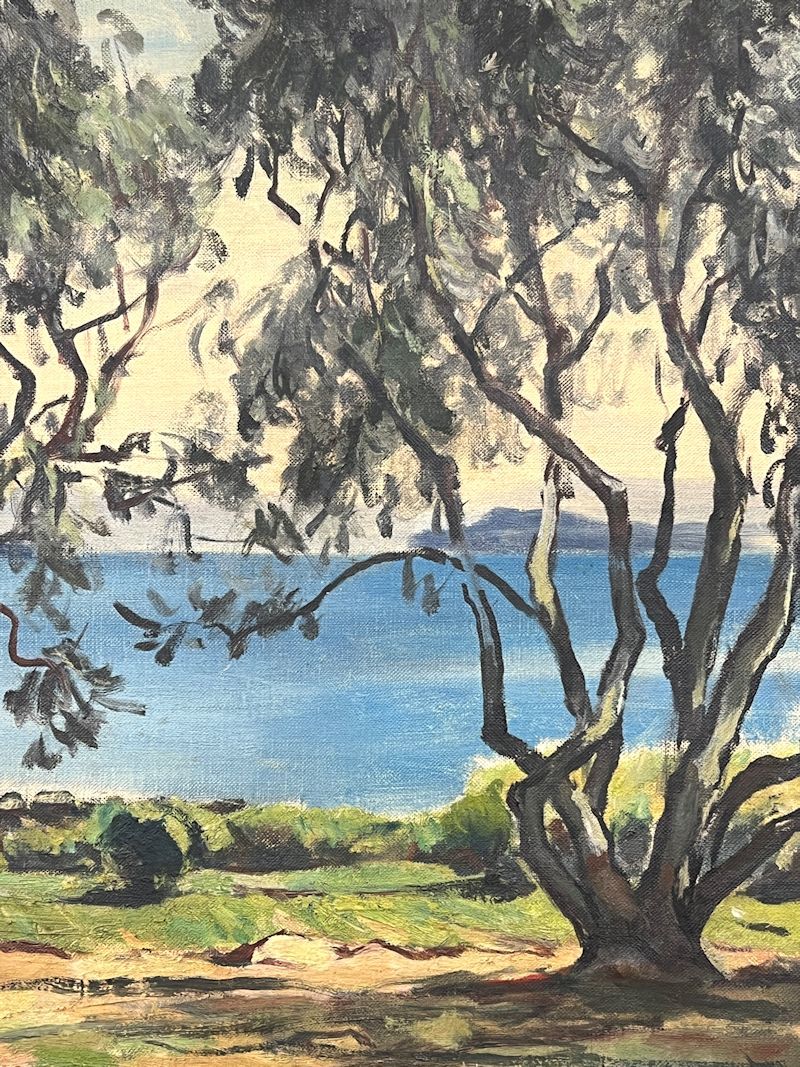 油絵額縁 FCP 真作保証 近藤洋二 油彩画10号 「オリーブ 小豆島 絵画