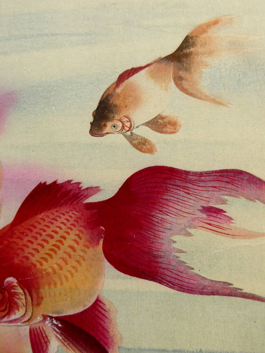 【希少】小原古邨（祥邨）「二匹の金魚」木版画 日本画風作品 ◇小原古邨◇木版画作品 新版画◇金魚三匹 交差する朱色◇繊細な表現力