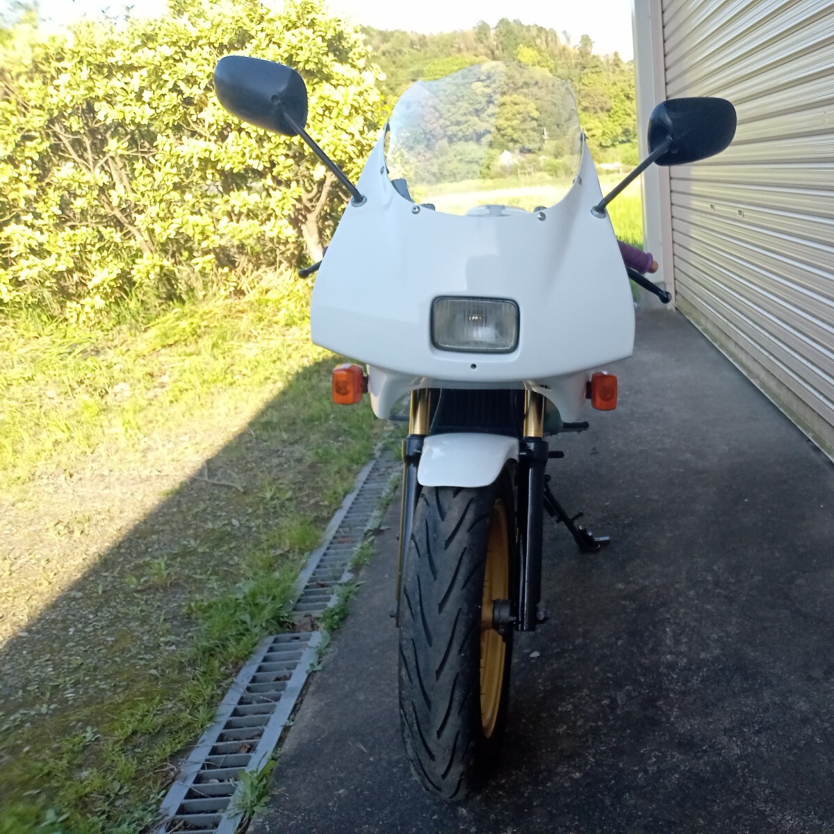 千葉君津引き取り限定NSR50中古_2