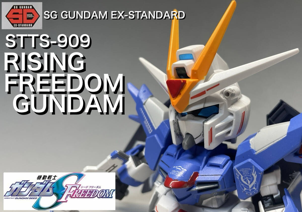 ＳＤＥＸライジングフリーダム塗装済み完成品_1