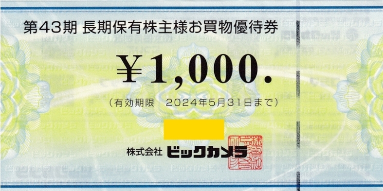 ★ビックカメラ★株主優待券★1000円×6枚(6000円分)★_1