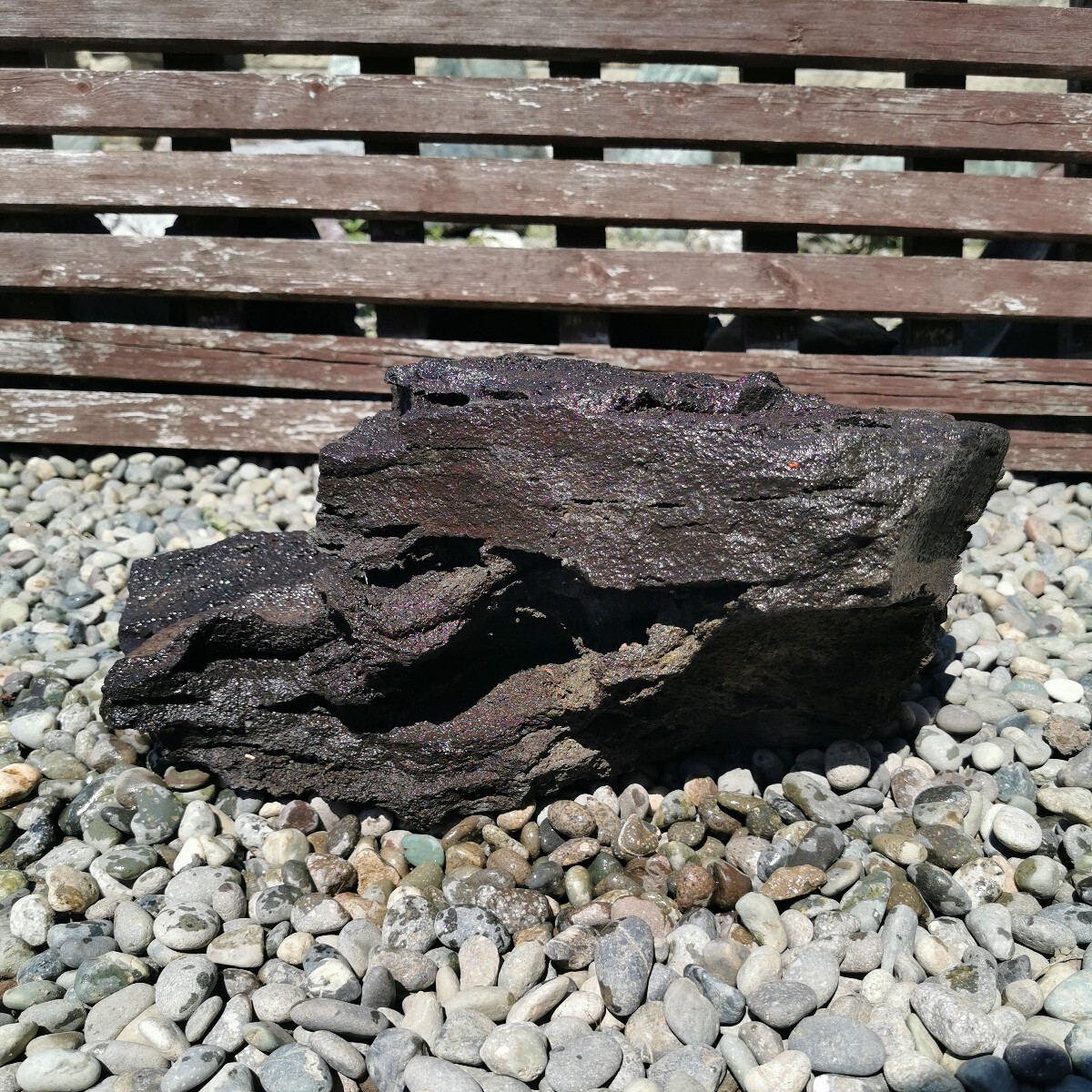 浅間溶岩石10.5キロ 庭石鑑賞石石盆石水石灯籠庭坪庭盆栽ガーデニング