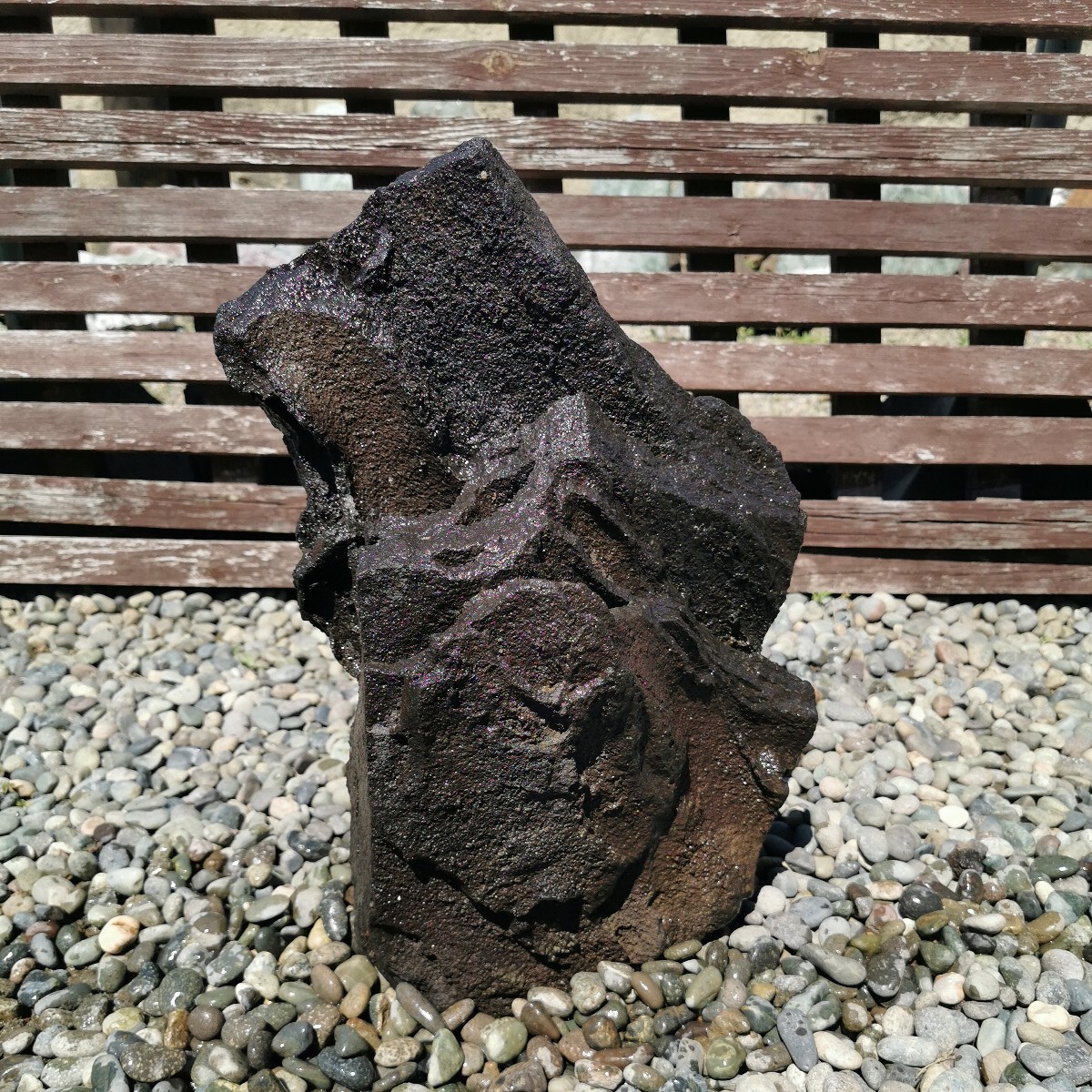 浅間溶岩石10.5キロ 庭石鑑賞石石盆石水石灯籠庭坪庭盆栽ガーデニング