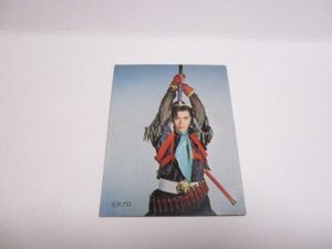 ライオン丸カードの値段と価格推移は？｜2件の売買データからライオン