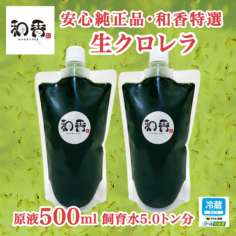送料無料クール便★和香特選生クロレラ500ml★即日発送★ミジンコめだか金魚らんちゅうの餌 針子稚魚の青水作 ワムシゾウリムシ生餌_1